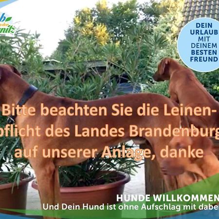 Wellness-Suite-Im-Wald-Am-See Kyritz Kültér fotó