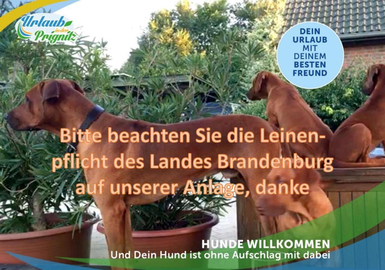 Wellness-Suite-Im-Wald-Am-See Kyritz Kültér fotó